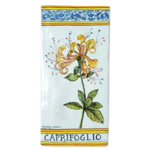 Mattonella in ceramica "Botanica" Caprifoglio